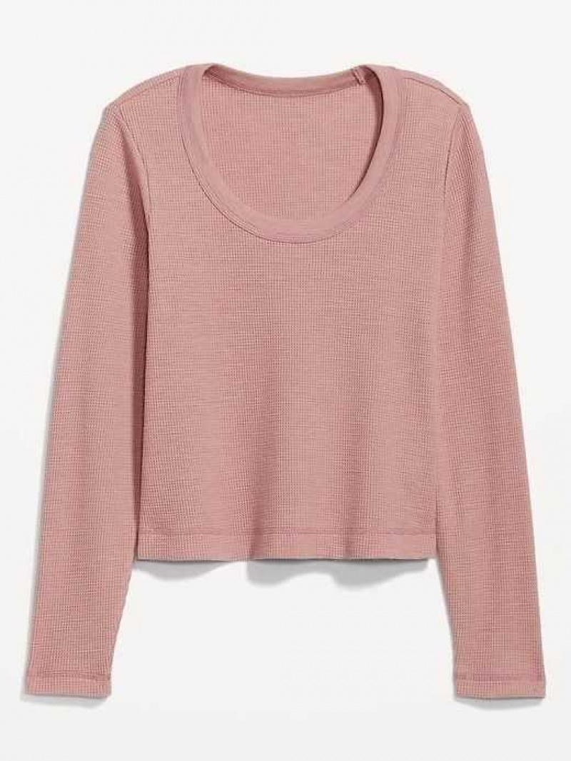 Old Navy Cropped Waffle-Knit Scoop-Neck T-Shirt Woodrose | ETI207983