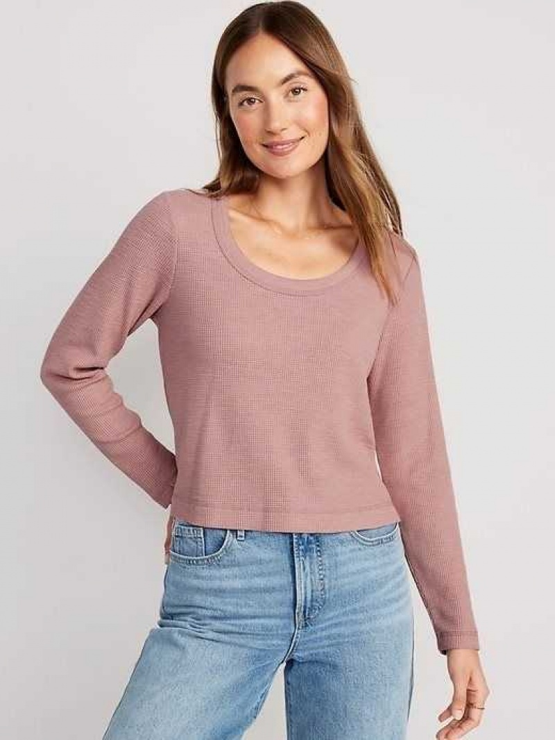 Old Navy Cropped Waffle-Knit Scoop-Neck T-Shirt Woodrose | ETI207983