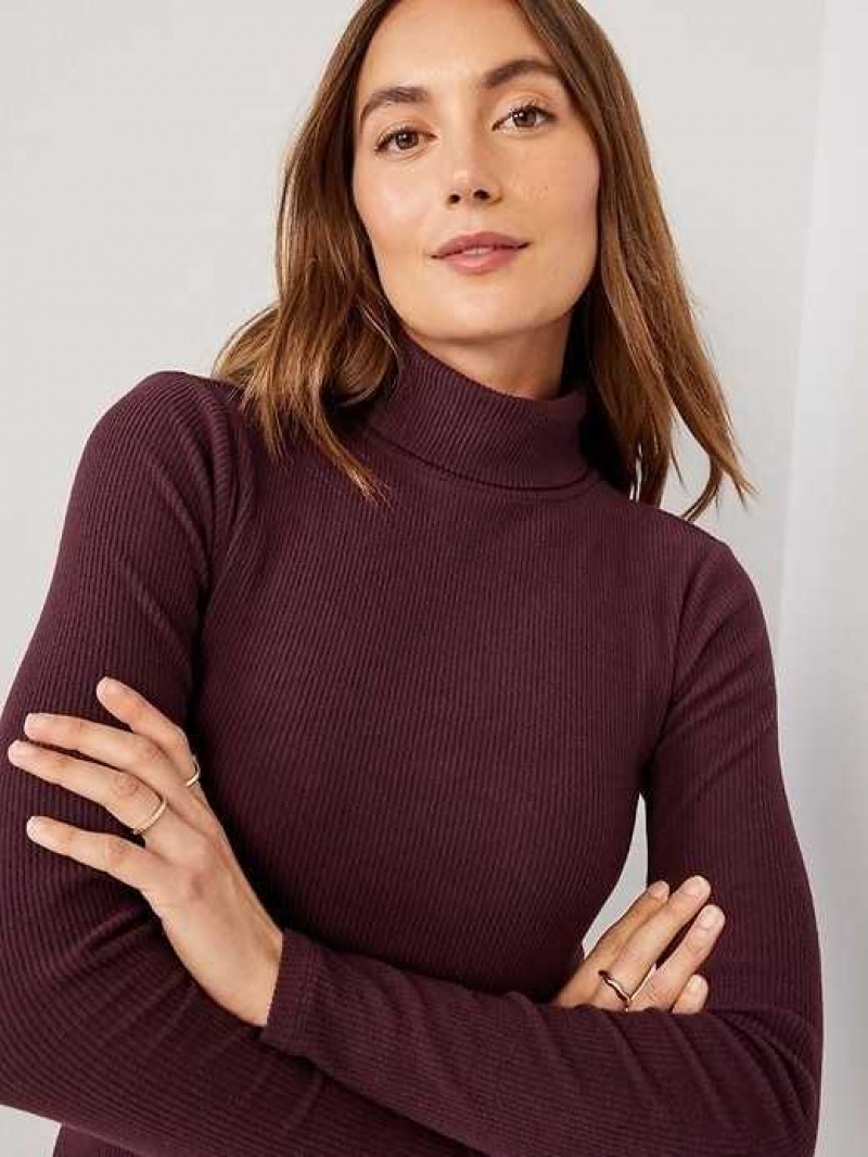 Old Navy Fitted Plush Rib-Knit Turtleneck Raisin Arizona | KHT192608