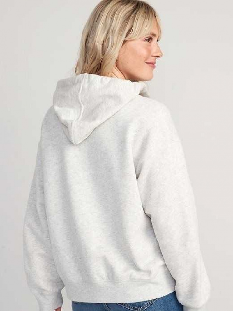 Old Navy Fleece Full-Zip Hoodie Light Grey | PHY751902