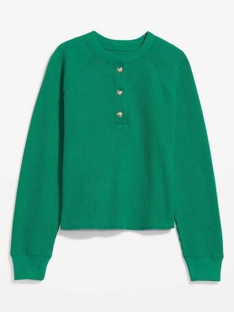 Old Navy Plush Waffle-Knit Henley Top Serpentine | WXO659028