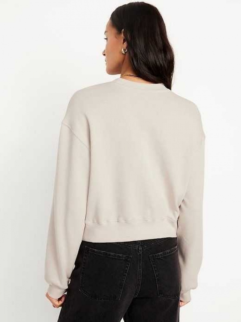 Old Navy Relaxed Crew Neck Sweatshirt Beige | WVQ285670