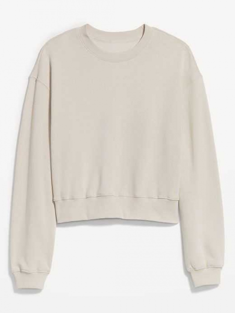 Old Navy Relaxed Crew Neck Sweatshirt Beige | WVQ285670