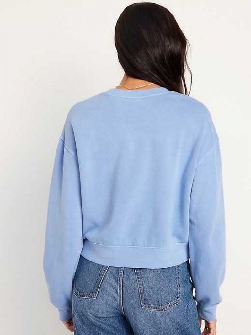 Old Navy Relaxed Crew Neck Sweatshirt Blue | QIT289730