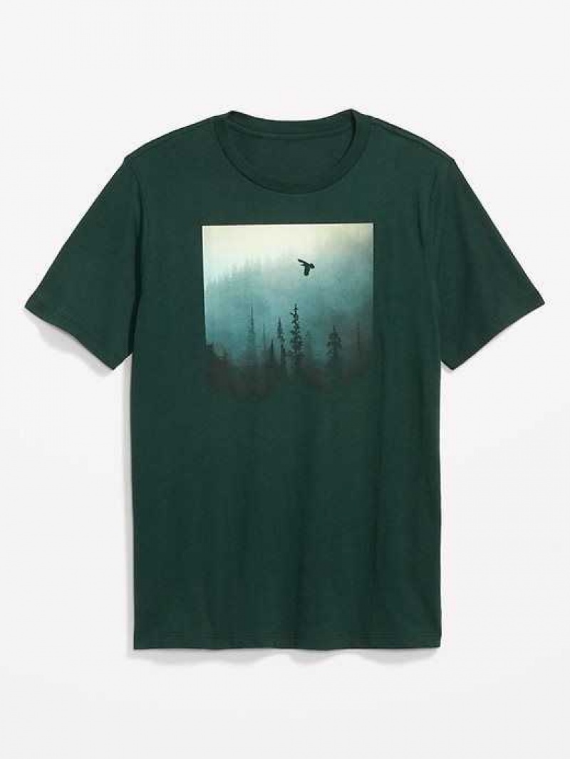 Old Navy Soft-Washed Graphic T-Shirt Forest Canopy | ZUA236459