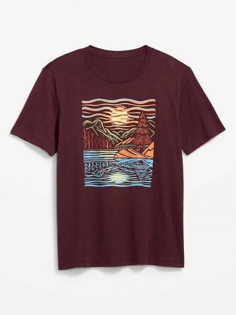 Old Navy Soft-Washed Graphic T-Shirt Raisin Arizona | AVB581342