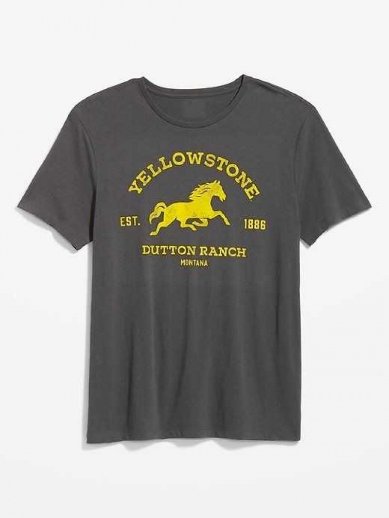 Old Navy Yellowstone Gender-Neutral Graphic T-Shirt Panther | OPW521096